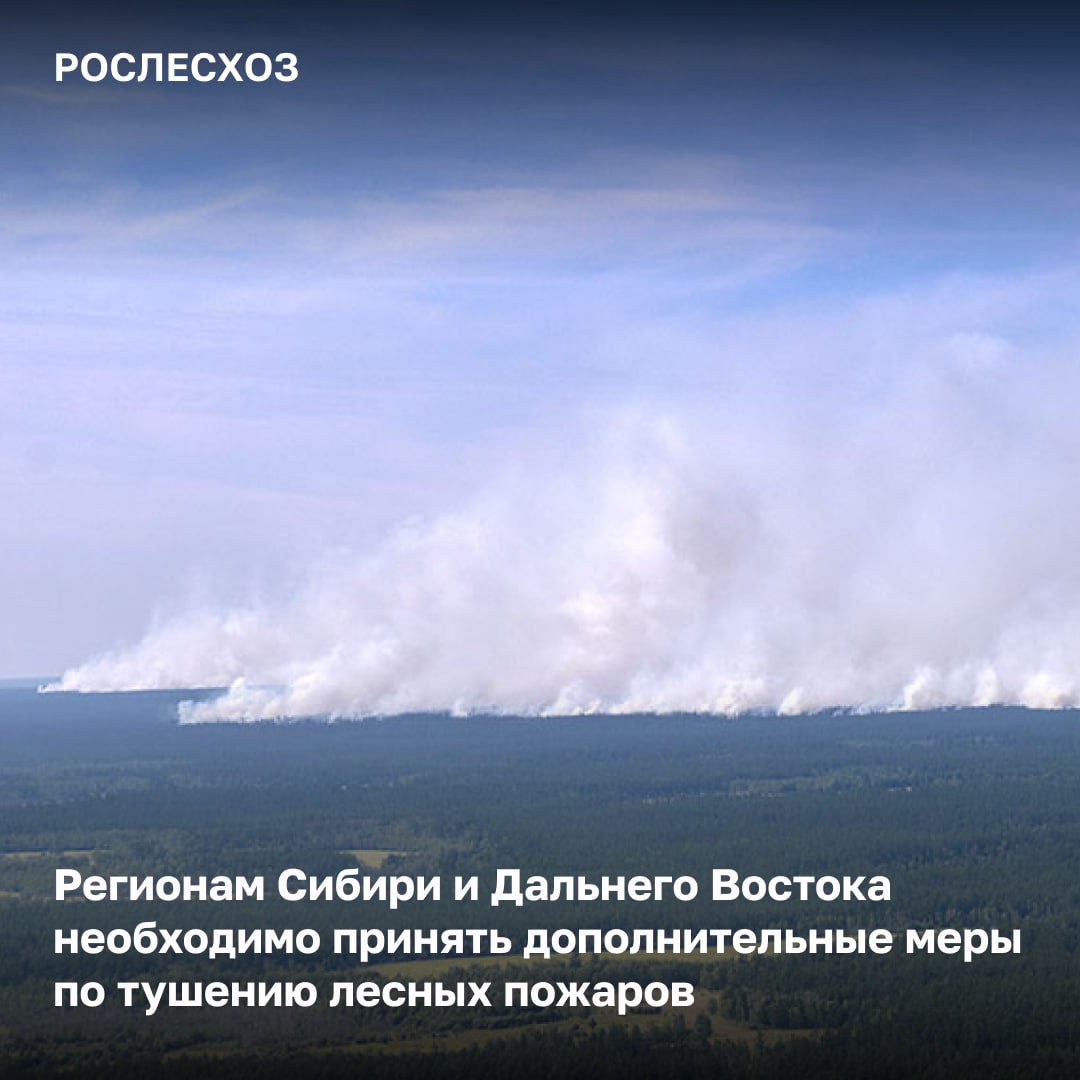 За прошедшие сутки в России на землях лесного фонда ликвидировали 37 лесных пожаров на площади 3,8 тыс. га. Тушение лесных пожаров в России На 06:00 мск 24 июля действует 60 лесных пожаров на площади 8,8 тыс. га. Из них локализовано 34 возгорания площадью 2,5 тыс. га. Обстановка в регионах Лесопожарная обстановка остается напряженной в Иркутской области, Красноярском и Забайкальском краях, Республиках Бурятия, Тыва и Саха Якутия . «По данным Росгидромета, в регионах Сибири и Дальнего Востока сохраняется высокий класс пожарной опасности. Прогнозируются высокие температуры и малое количество осадков. Регионам необходимо учесть прогноз и принять дополнительные меры по тушению лесных пожаров. В частности, нарастить силы и средства в наиболее горимых районах, оперативно реагировать на возникающие возгорания», - подчеркнул замглавы Рослесхоза Алексей Венглинский на заседании Федерального штаба по координации деятельности по тушению лесных пожаров. Силы и средства Для помощи регионам в тушении лесных пожаров в Красноярский край и Иркутскую область направлены 83 специалиста Федеральной Авиалесоохраны. Кроме того, на территории Красноярского края, Иркутской области, Забайкальского края и Республики Бурятия запланированы работы по искусственному вызыванию осадков.