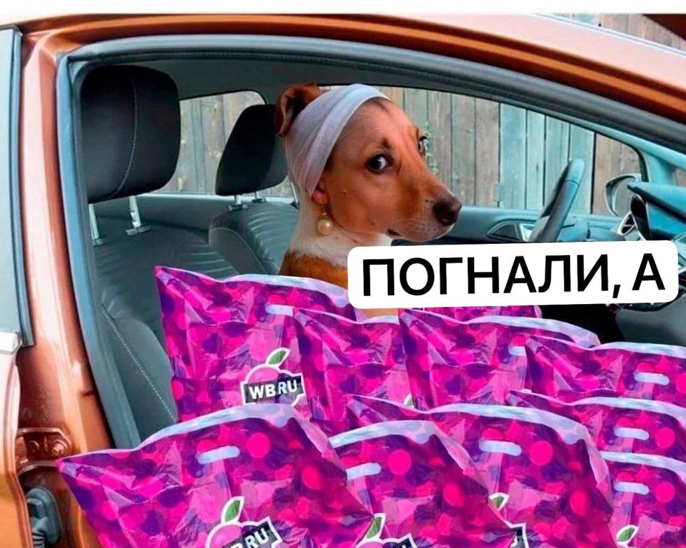 Камчатская сотрудница маркетплейса похитила товары на 32 тысячи рублей.  Как только не изворачиваются с этими схемами на ПВЗ!   17-летняя работница пункта выдачи в Петропавловске с января по март присваивала себе отказы клиентов, а затем начала воровать новые товары. Среди похищенного — одежда, техника и всякие товары интимного характера. Девушке грозит до пяти лет лишения свободы.      Подписаться   Предложка   Чат