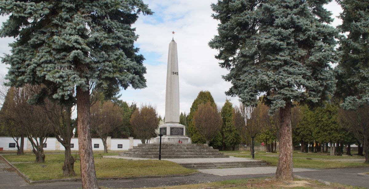 В Польше «пророссийское подполье» возложило цветы к мемориалу советских солдат  В польском городе Свидница местные жители из «пророссийского подполья» возложили цветы и зажгли свечи у мемориала солдатам Красной Армии, которые погибли при освобождении Польши. На военном кладбище, где расположен мемориал, покоятся 545 тысяч советских солдат.  У памятника появились цветы и от политического беженца Марчина Миколаека — поляка-антифашиста, который сейчас живёт на Урале.  — Никто и ничто не заставит меня забыть о подвиге героического советского солдата. Где бы я ни находился, в какой стране я бы ни жил, я всегда буду помнить настоящих героев! — пишет Марчин в своём telegram-канале.    В польских СМИ истерика из-за переезда пророссийских поляков в Екатеринбург