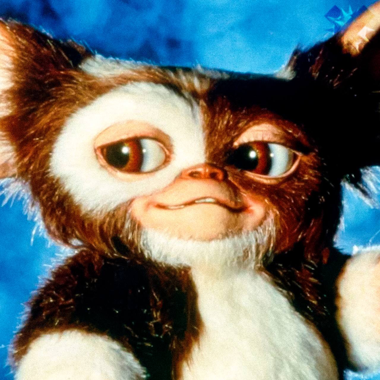 Warner Bros анонсировала Гремлинов 3 Студия официально запустила в производство третью часть культовой франшизы Режиссёром выступит сам Крис Коламбус а продюсером Стивен Спилберг Премьера намечена на 19 ноября 2027 года ждём первый раз слышу НЕ МОРГЕНШТЕРН