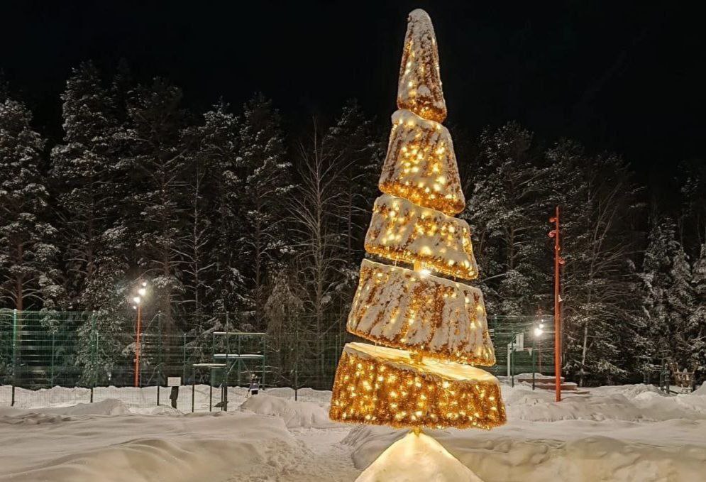 Жители Лесного в Свердловской области случайно сожгли городскую елку, запуская фейерверки. Камеры наблюдения сняли пару взрослых с детьми, которые установили коробку с салютами, но не закрепили ее, из-за чего залпы полетели по сторонам и подожгли елку. Теперь главу семейства ищет полиция. Ущерб оценили в 600 тысяч рублей. А мэр Лесного заявил, что если бы не отменили городской фейерверк, такой беды бы не случилось.   Слишком много происшествий с фейерверками в эти новогодние праздники. Это последствия запретов, как считаете?