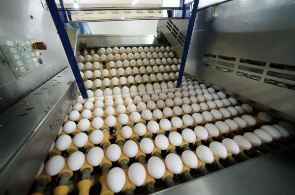 В Госдуме объяснили регулярные скачки цен на продовольствие Минсельхоз не прогнозирует рост себестоимости производства и урожайность. Таким мнением в эфире радиостанции «Говорит Москва» поделился зампред комитета нижней палаты парламента по защите конкуренции Сергей Лисовский. Почему у нас постоянные проблемы с ценами на продовольствие? Потому что у нас нет реального прогноза на урожайность или на производство. У нас нет реального прогноза на рост себестоимости, потому что если бы у нас Минсельхоз читал рост себестоимости, то он чётко бы понимал, насколько у него выросли продовольствия. Но у нас себестоимость никто не считает.