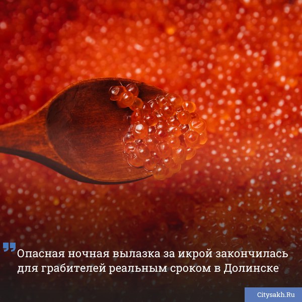 В Долинске завершился суд по делу о дерзком ограблении рыбного цеха осенью 2024 года двое сахалинцев в балаклавах вынесли 60 литров красной икры связав сторожа скотчем и угрожая монтировкой citysakh ru news 122895