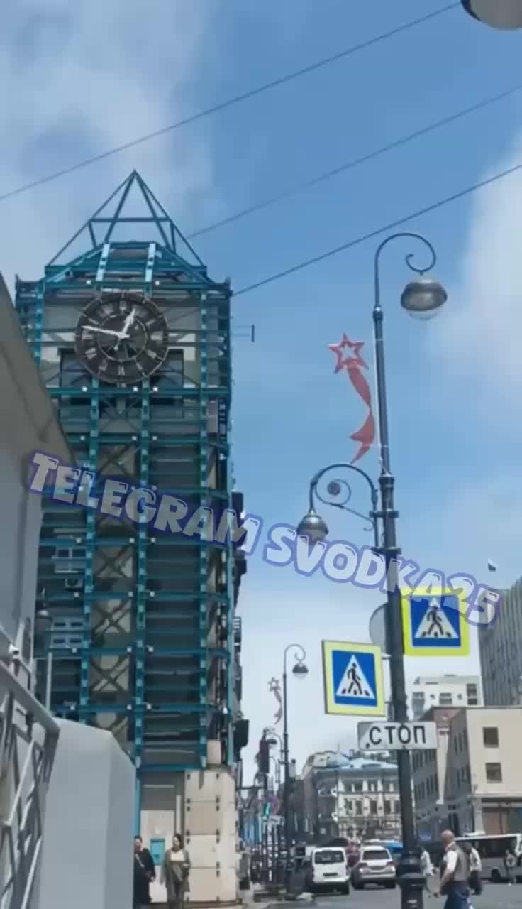Владивосток: жители заметили амурского полоза на тротуаре