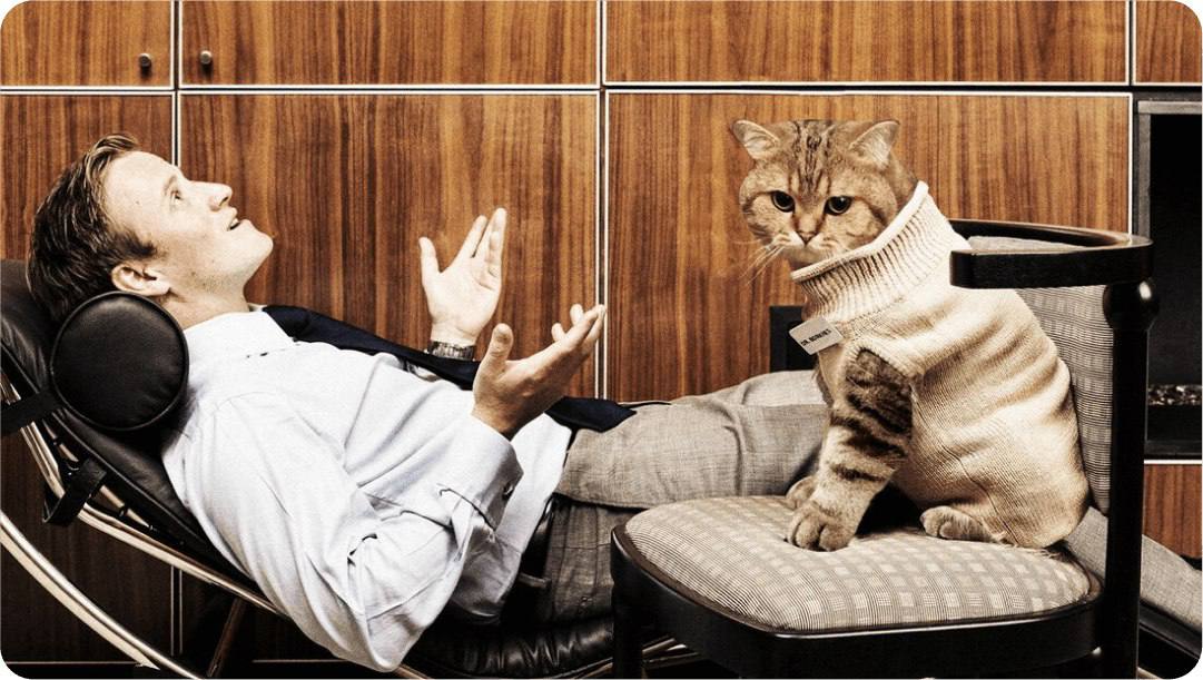 Растущий уровень стресса у хозяев негативно сказывается на психическом здоровье кошек Животные становятся тревожными и подвержены истерикам вплоть до необходимости применения антидепрессантов Зоопсихологи рекомендуют ограничить шум и гостей создать для питомцев комфортное и безопасное пространство а также придерживаться четкого распорядка дня Подпишись на нас в МАХ