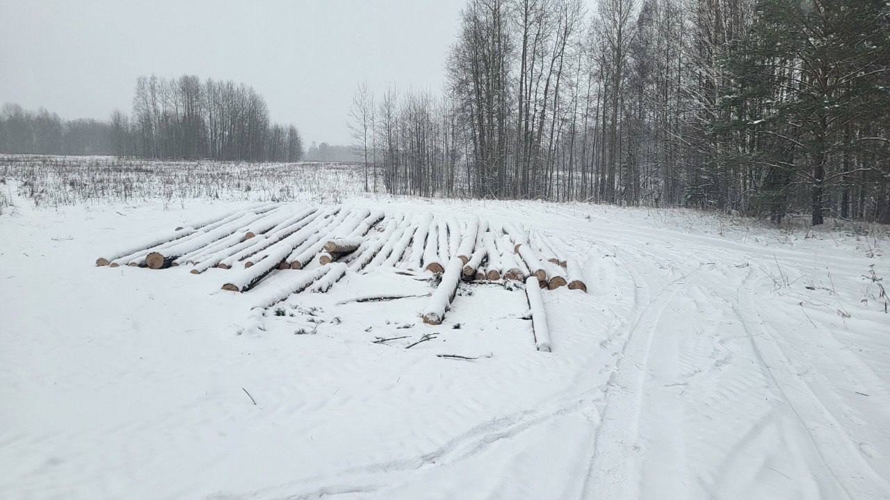 В Красноярском крае полицией задержан лесоруб, спиливший деревья более чем на 2,5 млн рублей   Следователями Межмуниципального отдела МВД России «Енисейский» возбуждено уголовное дело о незаконной рубке деревьев хвойных и лиственных пород в особо крупном размере. В совершении данного преступления подозревается 45-летний житель посёлка Стрелка.  Факт противоправной деятельности выявили сотрудники подразделения экономической безопасности и противодействия коррупции районной полиции в октябре прошлого года в ходе рейдовых мероприятий на территории Озерновского участкового лесничества.  Установлено, что фигурант испытывал финансовые трудности, но как ни старался, из долговой ямы выбраться не получалось. Тогда он и решил быстро заработать: не тратя времени на оформление разрешения для вырубки леса, незаконно спилить его и продать.  Рядом с имеющимся у него покосом для животных, который находится на землях лесничества, злоумышленник, вооружившись бензопилой, за два дня заготовил 82 дерева пород пихта, ель, сосна, лиственница и берёза общим объёмом 160,9 м3 на сумму 2,6 млн рублей, однако вывезти и реализовать незаконную древесину он не смог из-за плохого состояния сельской дороги.  Дождавшись конца ноября, «чёрный лесоруб» решил повторить попытку вывезти стволы, но сделать он это не успел, так как к нему в дом нагрянули сотрудники полиции. Фигурант признался в содеянном, а также пообещал возместить причинённый лесному фонду ущерб.  В настоящее время расследование уголовного дела по признакам преступления, предусмотренного частью 3 статьи 260 Уголовного кодекса Российской Федерации, продолжается.       ГУ МВД России по Красноярскому краю