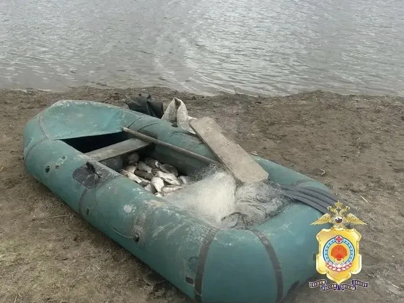 В Сарпинском районе задержали мужчину ловившего рыбу сетью В рамках операции Путина 2026 сотрудники полиции задержали 59 летнего жителя Ростовской области К моменту прибытия правоохранителей он успел выловить 33 экземпляра рыбы частиковых видов Мужчина признал вину Орудия лова сеть длиной 80 метров и резиновая лодка направлены на экспертизу По результатам будет принято процессуальное решение Фото МВД Калмыкии Быть в курсе Прислать новость Также подписывайтесь на наш новостной канал в MAX Вести Калмыкия