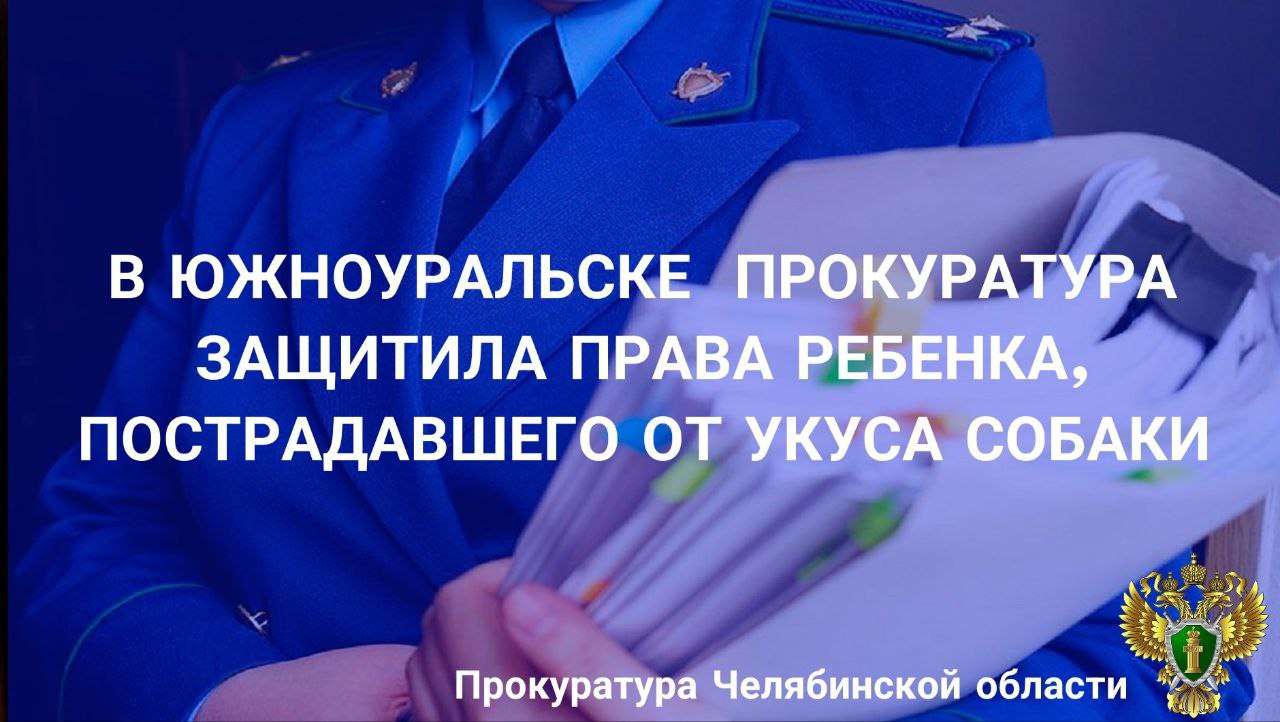 Прокуратура г. Южноуральска провела проверку по обращению законного представителя ребенка о защите прав. Установлено, что в январе 2025 года в п. Рощино г.Южноуральска 5-летний ребенок играл на детской площадке. После того, как мальчик скатился с горки, к нему подбежала находившаяся без паводка собака породы «Корги» и укусила за лицо. Хозяйка собаки находилась поблизости, однако никаких действий не предприняла. После произошедшего ребенок проходил лечение и получал уколы. Прокурор в интересах ребенка обратился в суд с иском о взыскании причиненного морального вреда. Южноуральский городской суд взыскал с хозяйки собаки в пользу ребенка компенсацию морального вреда в сумме 55 тыс. рублей.