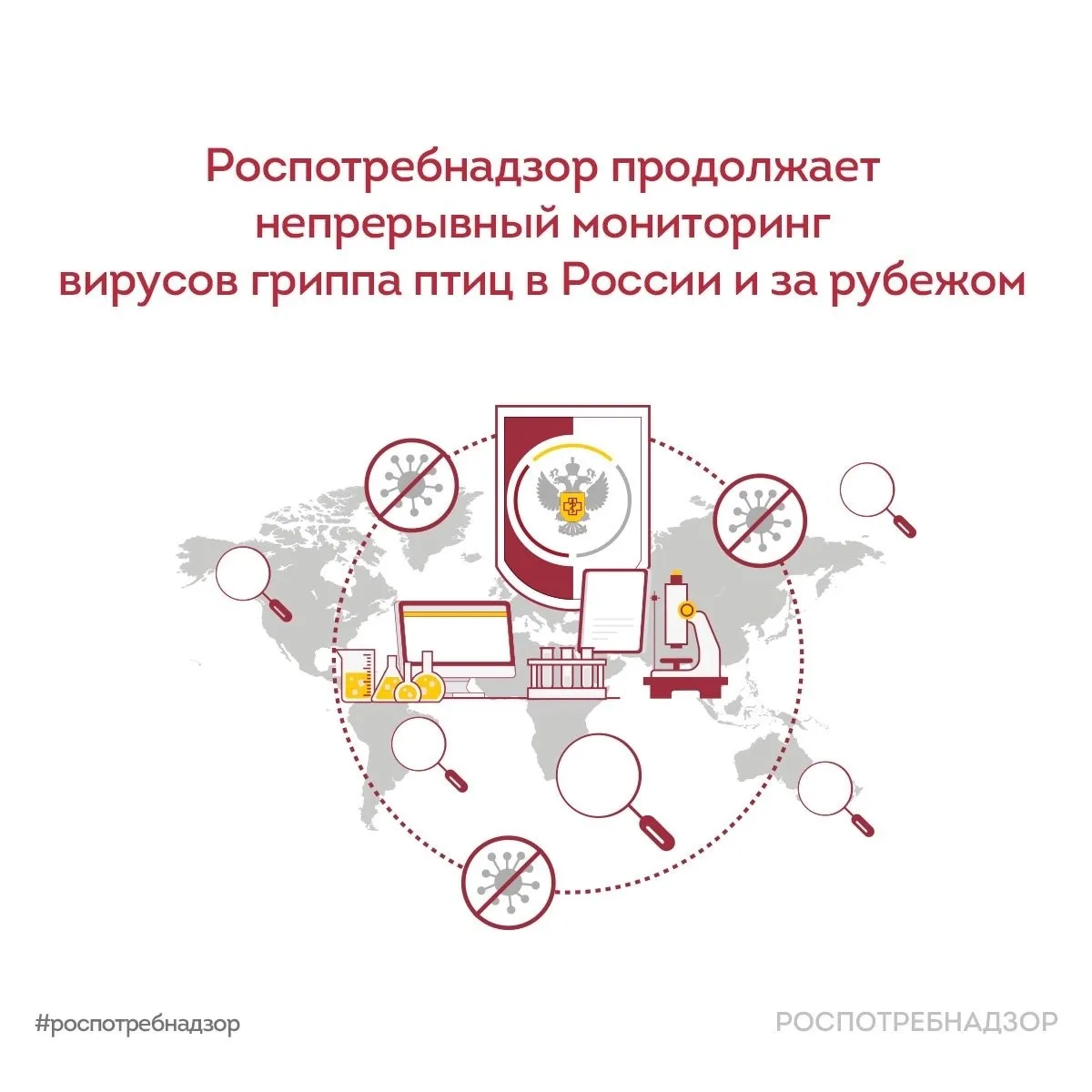 Роспотребнадзор VK Роспотребнадзор продолжает непрерывный мониторинг вирусов гриппа птиц в России и за рубежом Согласно новым исследованиям вирус высокопатогенного гриппа птиц A H5N1 был обнаружен на молочных фермах Калифорнии в воздухе доильных залов и сточных водах Вирусная РНК также найдена в выдыхаемом коровами воздухе что указывает на потенциальный риск воздушно капельной передачи в условиях ферм   Данные подтверждают что вирус A H5N1 может представлять опасность для людей работающих на молочных фермах Ежегодно в мире регистрируются тысячи вспышек гриппа A H5N1 среди дикой и сельскохозяйственной птицы Основное количество вспышек среди дикой и домашней птицы а также среди млекопитающих вызвано вариантами вируса гриппа подтипа А H5N1 клады 2 3 4 4b В 2025 году продолжалось распространение вируса A H5N1 2 3 4 4b генотипа B3 13 среди молочного скота в США С марта 2024 года зарегистрирован 41 случай заражения среди работников ферм На май 2026 года выявлено 1090 случаев инфицирования коров в 20 штатах США В настоящее время согласно имеющейся информации ВОЗ оценивает общий риск для здоровья населения связанный с вирусами гриппа птиц A H5N1 как низкий Лица чья деятельность предполагает контакт с инфицированными животными и или загрязненной окружающей средой относятся к группе повышенного риска и должны принимать необходимые меры предосторожности для предотвращения заражения Это включает использование рекомендованных средств индивидуальной защиты соблюдение личной гигиены после контакта с животными и другие меры биобезопасности Случаи заражения людей в мире вирусом гриппа птиц A H5N1 остаются единичными и преимущественно связаны с употреблением в пищу зараженного мяса или прямым контактом с инфицированными животными загрязненной окружающей средой При этом не зарегистрировано устойчивой передачи циркулирующего в настоящее время вируса A H5N1 от человека к человеку В связи с распространением зоонозного гриппа среди крупного рогатого скота КРС в США Роспотребнадзор проводит плотный мониторинг циркуляции вирусов гриппа птиц в российских животноводческих хозяйствах содержащих коров а также среди лиц контактирующих с этими животными Исследовано около 93 тыс проб биоматериала включая более 64 тыс проб от крупного рогатого скота и около 29 тыс от лиц контактирующих с КРС По результатам исследований генетический материал вирусов гриппа птиц не обнаружен Для борьбы с высокопатогенным гриппом птиц и снижения риска межвидового перехода вирусов Роспотребнадзором разработаны программы и планы профилактических мероприятий на 2025 2030 гг Лаборатории Роспотребнадзора включая Государственный научный центр вирусологии и биотехнологии Вектор который является одним из двух Сотрудничающих центров ВОЗ по изучению гриппа на стыке экосистем людей и животных продолжают систематический мониторинг и проводят оценку иммунитета у людей контактирующих с птицей Для своевременного выявления вирусов с пандемическим потенциалом и принятия мер по недопущению их распространения на территории РФ ученые Роспотребнадзора разработали высокочувствительные тест системы для выявления циркулирующих штаммов вируса гриппа включая A H5N1 Ситуация на контроле Роспотребнадзора