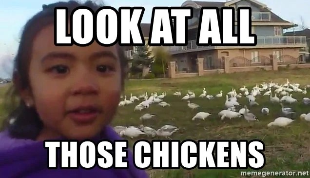 Сооснователь Twitter вложился в запуск Divine приложения с архивными видеороликами из Vine и возможностью публиковать новые Сервис восстановил свыше 100 тысяч вайнов около 60 тысяч авторов vc ru services 2336224