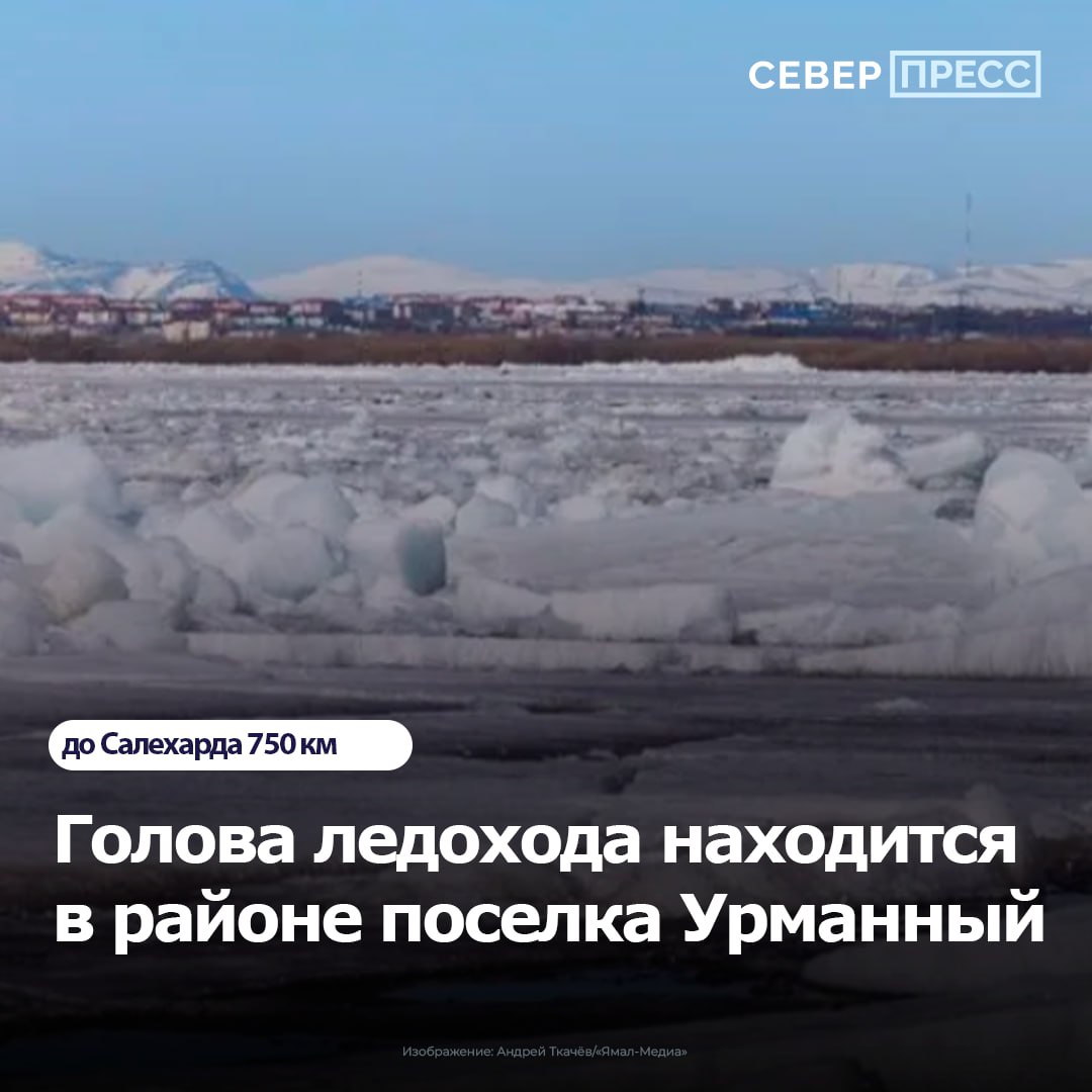 Ледоход на Оби: 2 мая голова ледяного массива находится в районе поселка Урманный. За сутки динамика составила 30 км, до границы с Ямалом остается 480 км. Специалисты продолжают мониторить ситуацию. Жителям прибрежных территорий рекомендуется соблюдать осторожность. Новости Ямала Поддержать нас бустом
