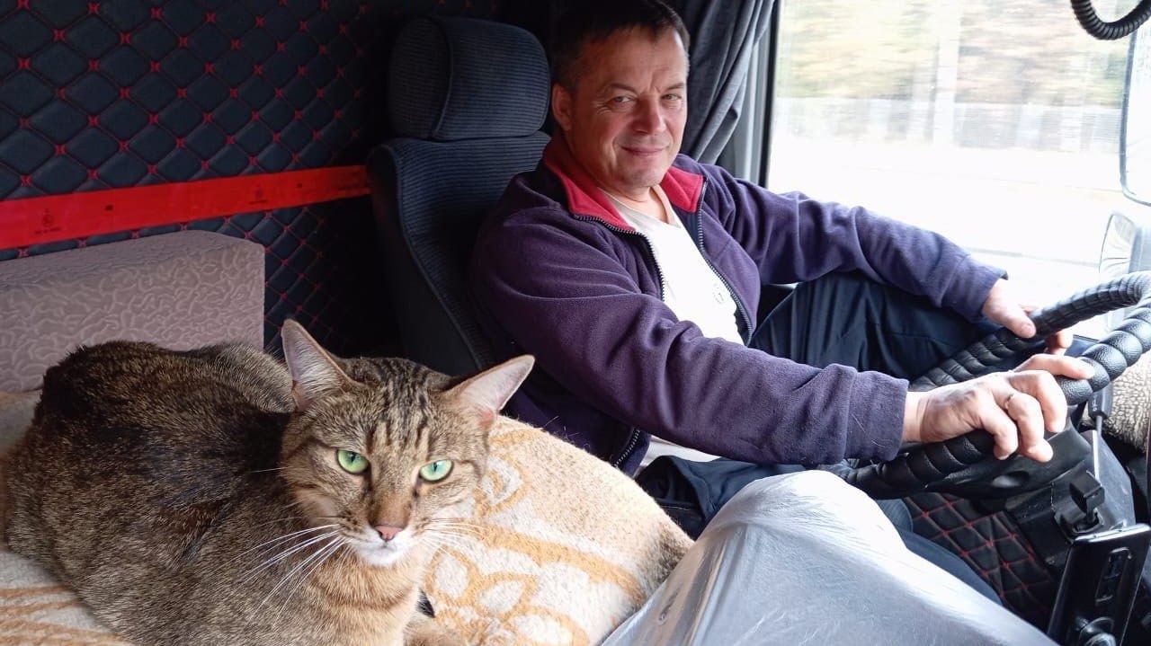 Цепочка помощи потерявшегося в поезде кота Федоса нашли на Дальнем Востоке Кот Федос пропавший в поезде Улан Удэ Москва был найден в Тынде спустя шесть дней Животное все это время пряталось в конструкциях вагона который сменил маршрут и отправился в Нерюнгри Прочитать статью полностью Подписаться на DVHAB   Написать в DVHAB