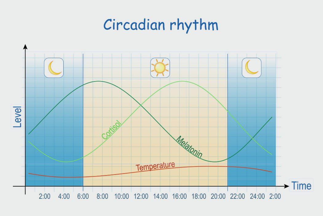 У мужчин тоже существуют месячные подтвердили учёные изучающие колебания уровня тестостерона Это состояние известно как irritable male syndrome и связано с естественными гормональными циклами которые влияют на настроение энергию и поведение Пик тестостерона у мужчин приходится на утро примерно с 5 до 8 часов поэтому в это время выше концентрация работоспособность и либидо К вечеру уровень гормона снижается что может вызывать усталость и раздражительность Колебания есть и в течение недели в начале она выше к концу ниже а также в течение года у части мужчин максимум приходится на осень а спад на конец зимы и весну что заметно отражается на самочувствии bankoffo
