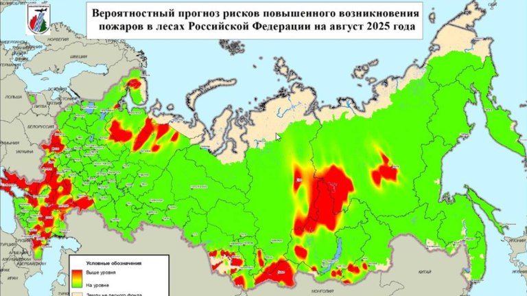Брянцев предупредили о повышенной пожарной опасности в августе В зону риска попадают центральная и северная части региона. ƃℾ подписаться прислать новость