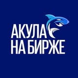 Аватар Телеграм канала: Акула на Бирже