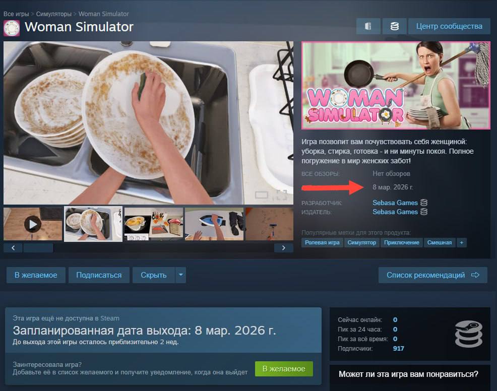 Лол Симулятор женщины выйдет в Steam 8 марта В нём нужно мыть посуду стирать трусы и носки своего мужика и стоять у плиты на кухне Геймплей как в жизни Бэкдор