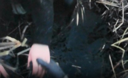 В Миассе Челябинской области спасатели эвакуировали из болота местную жительницу которая возвращалась домой с девичника и увязла в трясине Инцидент произошел в понедельник 3 ноября Пострадавшая успела позвонить спасателям и сообщить свои координаты Прибывшие специалисты обнаружили её стоящей по грудь в воде Девушку извлекли из болота и доставили домой Спасатели напоминают отправляясь в лес обязательно сообщайте родным о маршруте берите заряженный телефон и теплую одежду В случае потери ориентиров оставайтесь на месте и звоните по номеру 112 АиФ Челябинск Подписаться Прислать новость novosti chelyab bot