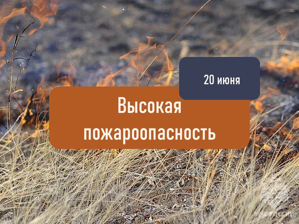Высокая пожароопасность ожидается в Херсонской области 20 июня В связи с этим существует риск возникновения лесных и ландшафтных пожаров. Напоминаем: не разводи костры; не сжигай бытовые отходы, мусор, сухую растительность на территории домовладений и вблизи них; не выбрасывай непотушенные спички и окурки; соблюдай правила безопасности в лесу. Телефон экстренной службы