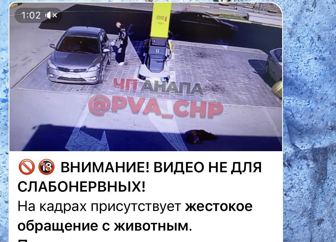 ‼  Водитель, наехавший на собаку в Гостагаевской, арестован.  В станице 21-летний водитель, выезжая с заправки, наехал на спящую собаку и бросил животное корчиться от боли.   Видео опубликовали коллеги ЧП Анапа.   Полицейские вычислили нарушителя и составили протокол за оставление места ДТП. Решением суда водитель подвергнут административному аресту.   Фото    Анапское Черноморье