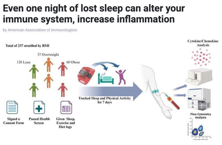 Учёные выяснили, что даже одна ночь бессонницы может серьёзно повлиять на иммунную систему, увеличив воспаление и изменив профиль иммунных клеток  Исследование показало, что у здоровых людей после 24 часов без сна клетки иммунной системы начинают напоминать состояние людей с ожирением, что может способствовать хроническим воспалениям и повышать риск заболеваний, таких как диабет и сердечно-сосудистые болезни.  Новостник. Подписаться /
