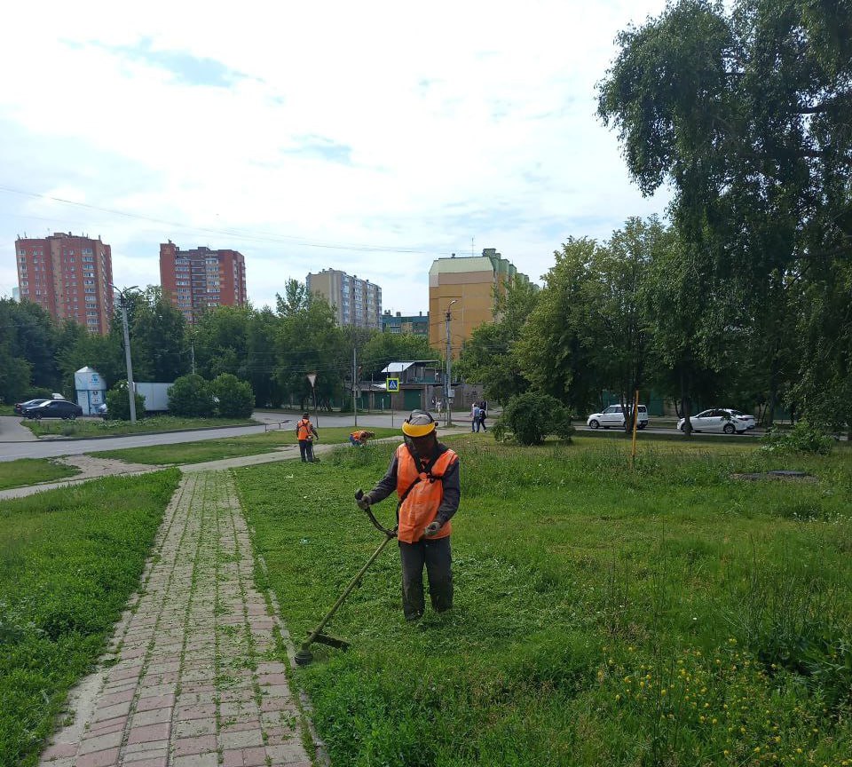 В Курске продолжаются работы по наведению чистоты на улицах. По информации комитета ЖКХ, в работах задействованы 71 человек и 55 единиц техники от подрядных организаций. Сотрудники занимаются очисткой дорожного покрытия, пешеходных дорожек, остановочных павильонов и прилегающих территорий. Они собирают мусор, стригут траву вдоль дорог и убирают пыль и грязь. Кроме того, специалисты проводят влажную уборку.