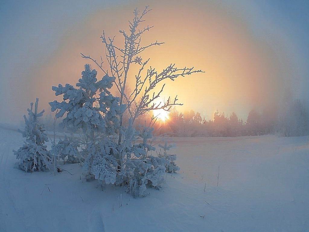 Есть –40°С на ЕТР!  Высокий и малоподвижный циклон с приземным центром над юго-востоком Коми продолжает закачивать на европейскую территорию России  ЕТР  холодный арктический воздух. Сильнее всего сейчас стужа в самых северных районах. Здесь трещат 30-градусные морозы. А этой ночью, в 00 СГВ, метеостанция Нижняя Пеша, расположенная в Ненецком а.о. Архангельской области, при ясном небе и штиле отметила температуру –40,1°С.   Впрочем, пик похолодания здесь миновал. Уже в ближайшие дни воздушные потоки с Атлантики принесут в Заполярье повышение температуры.   #мороз