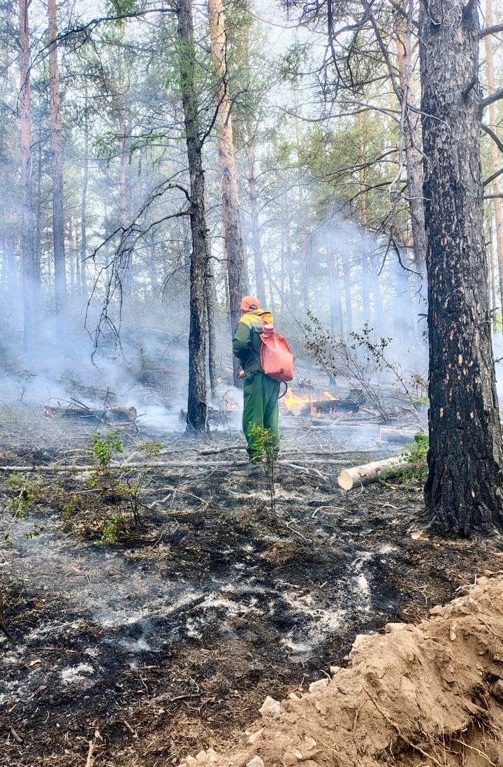 На борьбу с лесными пожарами в Бурятии призвали 946 спасателей  За прошедшие сутки в республике потушили 12 очагов и обнаружили 18 новых возгораний. Все спровоцировала сухая гроза. По данным на утро субботы, в Бурятии действуют 73 лесных пожара, на общей площади 95 073 га.  Угрозы населённым пунктам нет. На тушении работают 159 единиц техники и 946 человек, в том числе сотрудники из федерального резерва, Тюменской авиабазы, спасатели из Хабаровска, Кирова, Архангельска и Иркутска.    При обнаружении возгораний звоните на горячую линию лесной охраны - 20-44-44.