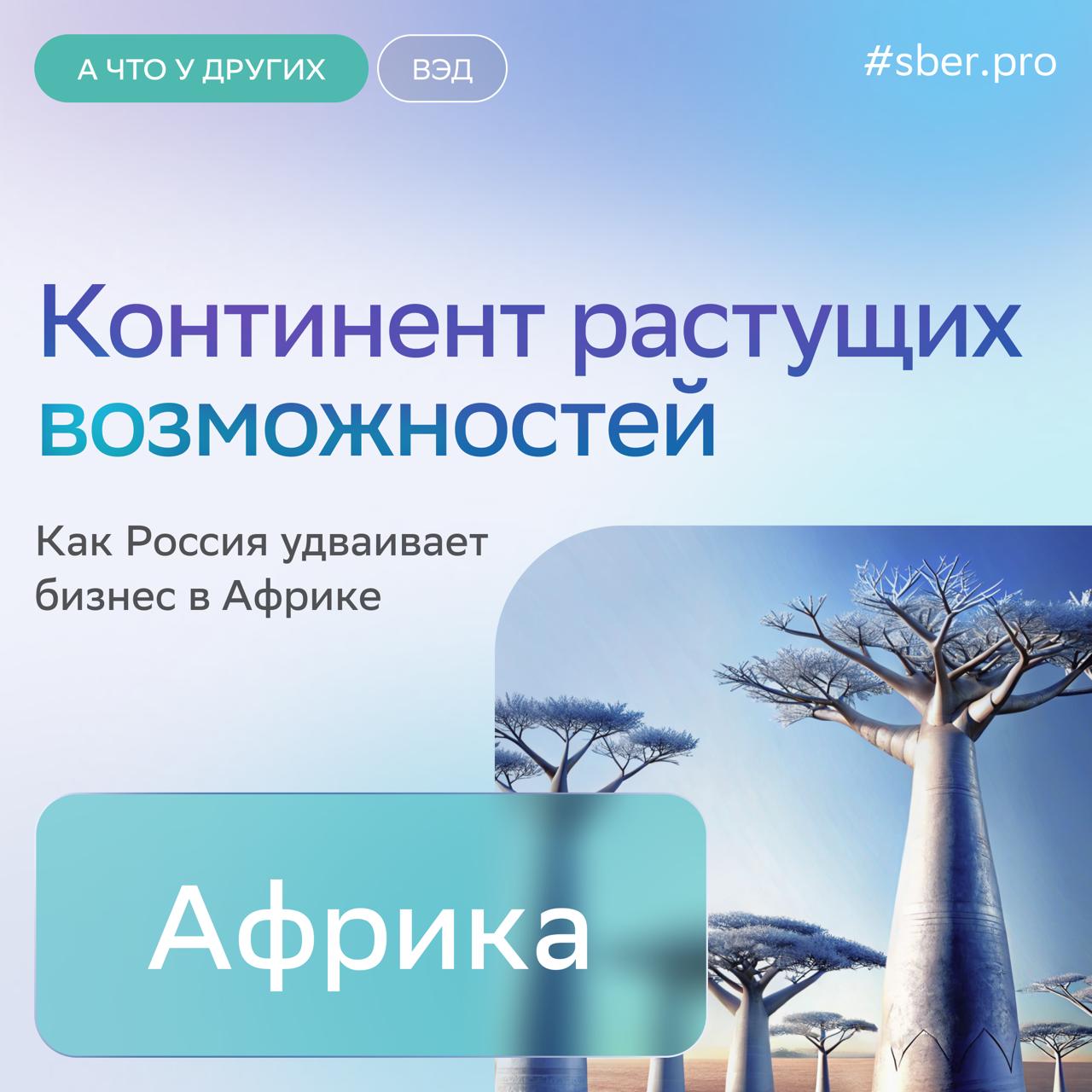 Объём торговли между Россией и Эфиопией в первой половине года вырос в 2 раза В целом к 2030 му товарооборот с Африкой удвоится до 50 60 млрд долларов Наиболее динамично отношения развиваются с Египтом Марокко Тунисом ЮАР и Сенегалом Они закупают пшеницу топливо и другие товары и развивают совместные энергетические проекты Какие ниши наиболее перспективны для российских компаний АПК За 2019 2024 годы поставки продовольствия в Африку выросли до 96 млрд долларов Высокий потенциал у экспорта мяса птицы сухого молока зернобобовых и кондитерских изделий Удобрения За последние три года российские поставки увеличились на 50 Темп роста в ближайшие 5 10 лет составит не менее 20 Добыча полезных ископаемых Российские компании активно осваивают месторождения на континенте и работают в сфере геологоразведки Энергетика Особенно ВИЭ солнца и ветра в Африке много При этом есть дефицит энергии а проекты ВИЭ дают преимущества быстрой электрификации Бизнес связи России с Африкой поддерживаются и на государственном уровне Например в этом году запустили инвестиционный фонд для совместных проектов в сферах энергетики транспорта логистики и добычи полезных ископаемых с общим объёгмом вложений в 2 млрд долларов Подробнее о том с какими вызовами может столкнуться бизнес в Африке в обзоре на СберПро ачтоудругих ВЭД sberpromedia
