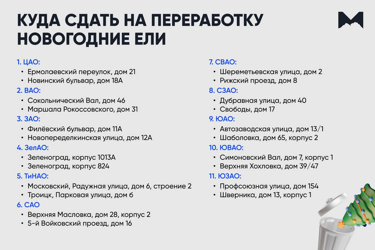 165 пунктов приёма хвойных деревьев заработали в Москве.   Он будут работать  по 3 марта.