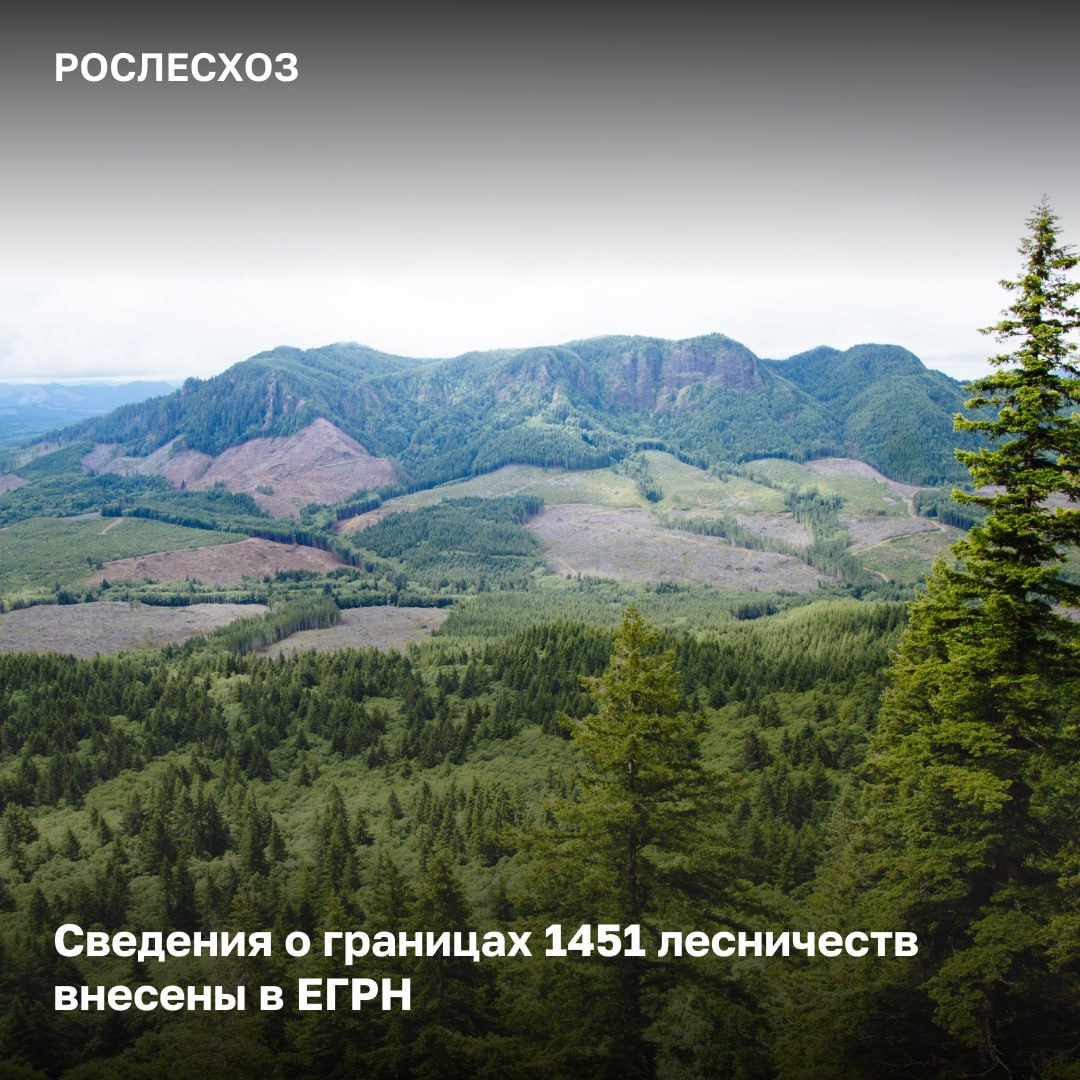 В текущем году внесение сведений о границах лесничеств в ЕГРН планируется завершить.     Исполнение поручения Правительства России   В первую очередь были внесены границы 64 лесничеств, расположенных вблизи населенных пунктов с населением более 500 тыс. человек.    Каким регионам еще осталось внести в ЕГРН данные о границах отдельных лесничеств?  - Вологодской, Омской, Тверской, Томской, Тюменской, Иркутской, Новосибирской, Ленинградской областям, Карачаево-Черкесской Республике, Красноярскому краю, Ямало-Ненецкому и Ханты-Мансийскому автономным округам.  «Интеграция данных из государственного лесного реестра в ЕГРН позволяет как установить противоречие между двумя реестрами, так и обеспечивает сохранение лесов, находящихся в федеральной собственности. Несомненно, для этого требуется проанализировать большой объем информации, однако уже в 72 регионах страны завершили синхронизацию двух реестров. Следует отметить, что данные о границах лесничеств параллельно загружаются во ФГИС Лесного комплекса для оказания лесных госуслуг», - отметил начальник Управления земельных отношений и лесоустройства Рослесхоза Алексей Григорьев.