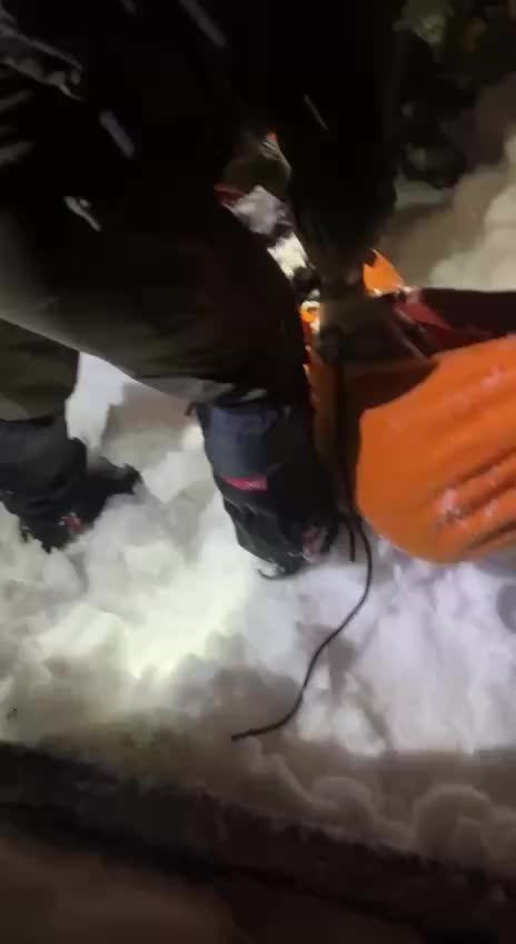 Сотрудники заповедников спасли сибирскую хаски на станции Роза Хутор