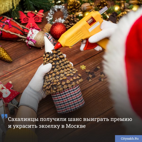В Москве стартовала всероссийская акция Экоелка которая проходит в рамках VI сезона Международной премии Экология дело каждого Сахалинцев приглашают создавать новогодние украшения из использованного пластика и отправлять их на центральную экоелку страны citysakh ru news 122797