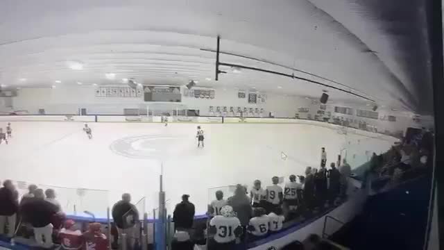 Стрельба на хоккейном матче в США: два человека погибли