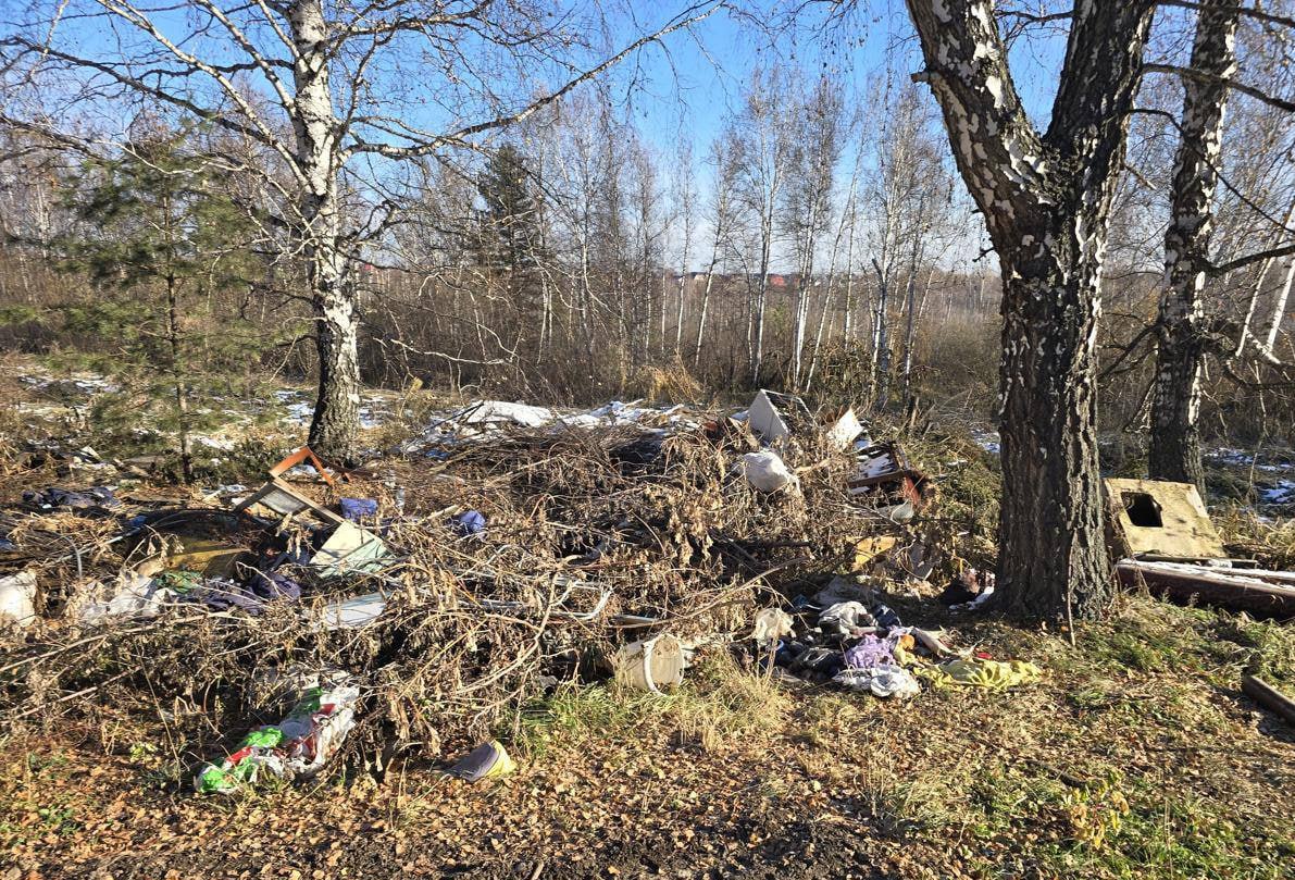 Прокуратура Томского района Томской области добилась ликвидации несанкционированной свалки отходов вблизи деревни Поросино Прокуратура Томского района Томской области провела проверку исполнения законодательства об отходах производства и потребления В ходе надзорных мероприятий вблизи деревни Поросино в лесном массиве выявлено скопление бытового мусора общим объемом чуть менее 320 куб м Прокуратура внесла представление в муниципалитет После прокурорского вмешательства несанкционированная свалка отходов ликвидирована