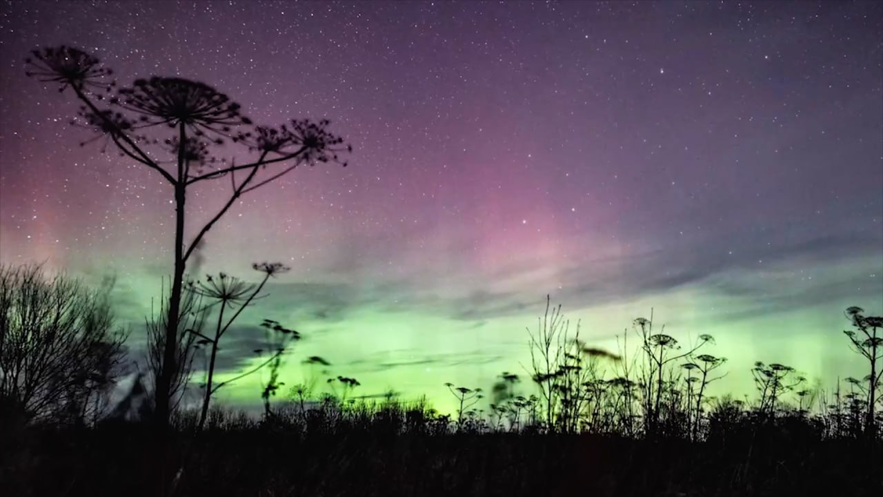 Настоящее ночное световое представление можно было увидеть на выходных в Псковском районе В объектив астрофотографа Михаила Прохоренко попало полярное сияние Цвета менялись от темно красного до фиолетового и различных оттенков зеленого на горизонте Необычное для наших широт небесное явление возникает когда магнитосфера земли взаимодействует с заряженными частицами солнечного ветра