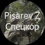 Pisarev Z - Спецкор