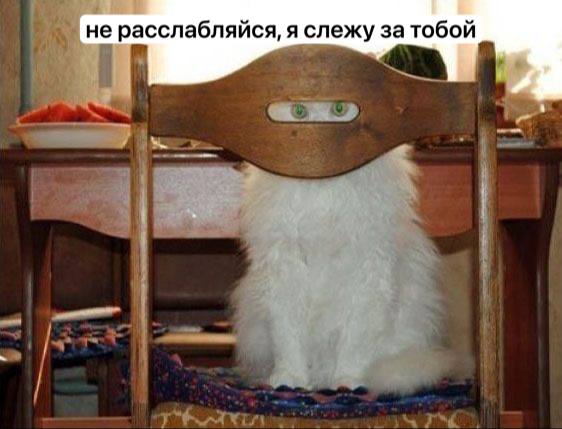 Ответственность за сталкинг предлагают ввести в Госдуме В России могут ввести административную ответственность за навязчивое преследование в том числе в интернете Новый законопроект уже направлен в правительство РФ Речь идёт о систематическом нежелательном внимании к человеку против его воли слежке звонках СМС угрозах запугиваниях и домогательствах включая онлайн форматы В России до сих пор отсутствует отдельная норма об ответственности за навязчивое преследование без применения физического насилия а привлечение к ответственности по действующим статьям на практике затруднено пояснил председатель комитета Госдумы по труду Ярослав Нилов За первое нарушение штраф 2 тысячи рублей за повторное до 5 тысяч рублей или административный арест до 15 суток Пострадавшие смогут обращаться к прокурору по месту нарушения а рассматривать такие дела будут мировые судьи давно пора защищать людей от преследования будут использовать в обычных спорах и ссорах Подписаться на 4 канал Мы в MAX