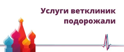 Услуги ветклиник подорожали Ветеринарныеуслуги в России подорожали за год на 34 подсчитали Известия Средняя стоимость приема ветеринара достигла 857 рублей а вакцинация домашнего животного 2022 рубля свидетельствуют данные Росстата В 2021 году по данным BusinesStat вакцинация обходилась в среднем по стране в 842 рубля За пять лет таким образом она подорожала в 2 4 раза на 140 Средний чек в ветклиниках в январе марте 2026 года составил 3913 рублей на 15 больше чем годом ранее Известия Forbes С чем связано повышение цен и какие прогнозы дают эксперты насчет дальнейшего развития читайте здесь