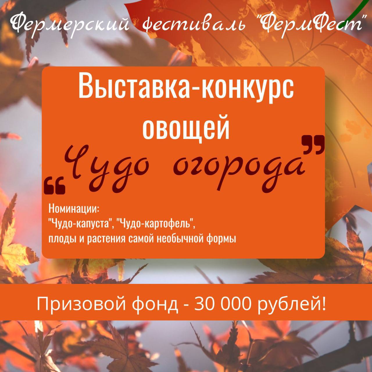 5 000 можно выиграть за овощ интересной формы или размера на пл Совета на ФермФест 20 сентября на площади Советов будет проходить фермерский фестиваль ФермФест В рамках фестиваля будет выставка Чудо огорода с розыгрышем призов за лучшую капусту картофель и необычные плоды и растения Соответственно три номинации Чудо капуста Чудо картофель Чудо из Бурятии Призовой фонд конкурса 30000 рублей За первое место 5000 рублей за второе 3000 рублей и за третье 2000 рублей Подать заявку на участие можно до 15 сентября на электронную почту opipp bk ru В теме письма обязательно нужно написать Чудо огорода ФИО и телефон Один участник может предоставить только один овощ одного вида с собственного дачного участка Будут оценивать вес размер и форму плодов Связаться с нами можно через кнопку Написать нам Все объявления Бурятии здесь doska03bur