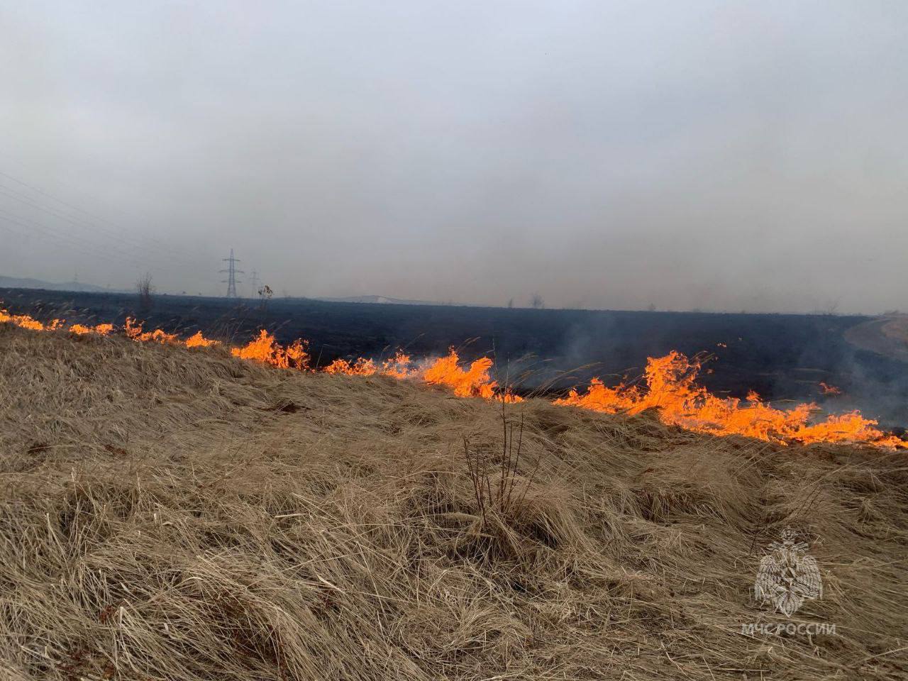 Найден виновник ландшафтного пожара в Красноярске  Мужчина разжигал костер на Кузнецовском плато. Из-за сильного ветра огонь распространился. Правонарушителя привлекут к административной ответственности.