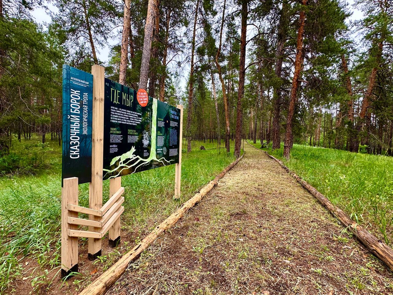 В Бузулукском бору открылась новая экотропа «Сказочный борок» На тропе есть места для отдыха с беседками, и специальные деревянные дорожки. Там растёт особенная сосна, которую назвали «маттерхорн». 52.992969, 52.138426