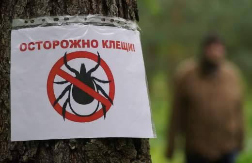 Власти Москвы сообщили о падении активности клещей а совсем скоро они заснут Начальник отдела мониторинга биоразнообразия столичного департамента природопользования и охраны окружающей среды Азамат Кунафин сообщил что в конце октября специалисты не зафиксировали ни одного контакта с насекомыми Тем не менее пока сохраняется относительно теплая погода следует соблюдать осторожность отметил что клещи впадут в спячку при снижении среднесуточной температуры ниже 5 градусов Подписывайся на Москвач