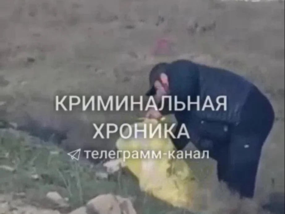 Убийством двух лебедей заинтересовались в МВД Дагестана По данным полицейского ведомства в сети распространяется видео со следующей информацией что некий мужчина застрелил двух лебедей в районе аэропорта Махачкала На опубликованных фото и видео видно что птицы были подстрелены после чего помещены в пластиковый мешок и вывезены на автомобиле в неизвестном направлении В настоящее время устанавливаются обстоятельства происшествия личность предполагаемого нарушителя с последующим привлечением его к ответственности