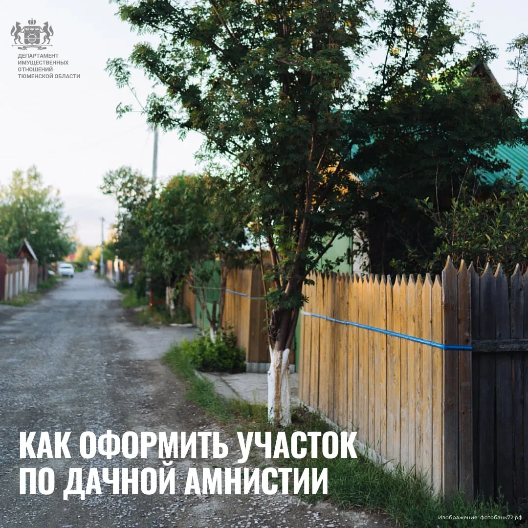 Росреестр рассказал как оформить участок по дачной амнистии В выпущенном ведомством методическом пособии разъясняется как в рамках дачной амнистии бесплатно приватизировать садовый или огородный земельный участок на основании членства в товариществе СНТ или ОНТ Напомним дачная амнистия решает проблему связанную с невозможностью приобретения таких участков в общем порядке установленном Земельным кодексом РФ Методичка разъясняет кто может воспользоваться этим механизмом какие документы необходимы для оформления садовых и огородных земельных участков Ознакомиться с пошаговой инструкцией можно по ссылке Читайте новости в сфере земли и недвижимости в МАХ