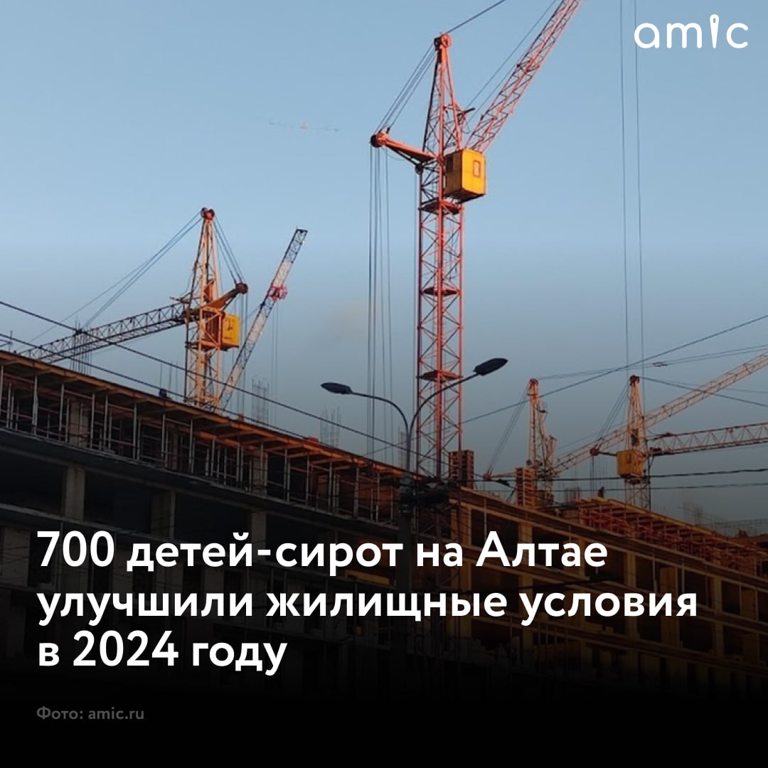 Жилищными сертификатами воспользовались 700 человек в Алтайском крае за 2024 год  Их они направляли на приобретение новых квартир. Такую информацию сообщили в Министерстве строительства и ЖКХ региона.  Большая часть детей-сирот в 2024 году решила воспользоваться правом на получение жилищного сертификата — это свыше 430 граждан. Номинал сертификата в четвертом квартале 2024 года составил 3 438 237 рублей.  Больше всего с применением сертификатов купили квартир в Барнауле — 278 квартир. На втором месте Новоалтайск — 30 реализованных сертификатов. Тройку замыкает Бийск, где приобрели 22 квартиры.