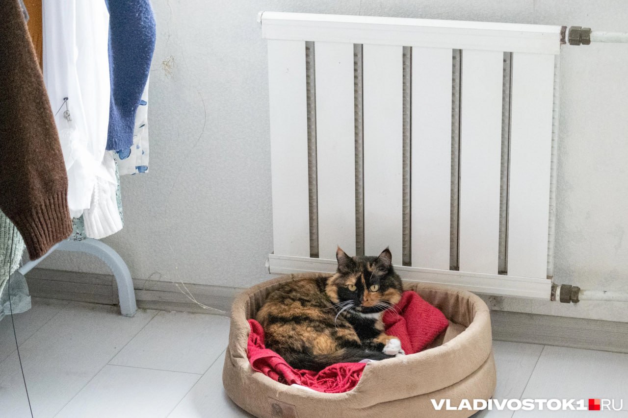 В Киренске несколько районов остались без отопления при 50 C Утро 2 декабря для жителей Киренска началось с ледяных батарей Около 7 утра без отопления и горячей воды остались дома в Центральном Мельничном микрорайонах и квартале Водников об этом жители массово сообщали в Telegram канале ЕДДС По данным служб на котельной 2 произошла нештатная ситуация К 9 00 её устранили но мэр Кирилл Свистелин объяснил ircity ru дело в том что в городе впервые испытывают новую центральную котельную которая работает лишь первую зиму Старая котельная уже закрыта Новая только проходит испытания Сейчас запускают третий и четвертый котлы нагоняют температуру сообщил мэр К полудню горожане всё ещё жаловались на ледяные батареи Свистелин пообещал что тепло пойдёт в течение 1 2 часов Тем временем за окном в Киренске 44 50 C Читайте IrCity в MAX