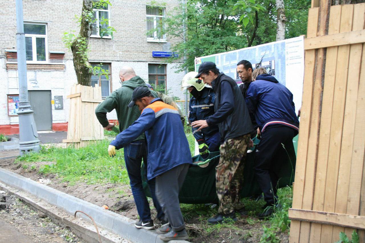 Сегодня утром в Восточное Измайлово забрели два лося. Пока местные жители наблюдали за неожиданными гостями, специалисты более шести часов пытались их спасти. Одному лосю удалось ввести снотворное и отправить на биостанцию «Лосиный остров», второй сам скрылся в ближайшем лесопарке.