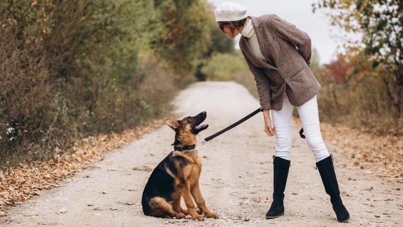 Новый стандарт для площадок выгула собак утвердили в России С 1 апреля 2026 года в стране начнет действовать новый национальный стандарт который определяет какими должны быть территории для выгула дрессировки и игр с собаками Подробности на нашем сайте Подписаться на нас Telegram I MAX Прислать нам новость Sakhonlinebot