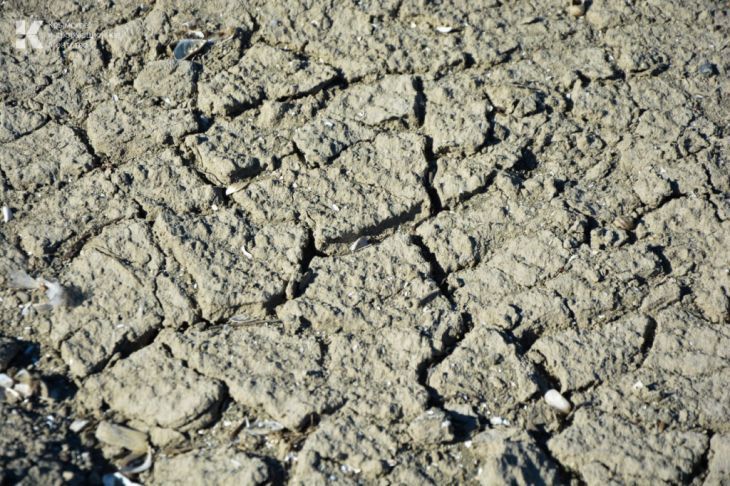В Крыму прекратилось поступление воды в Чернореченское водохранилище В Крыму из-за сильной засухи перестало наполняться Чернореченское водохранилище. Об этом корреспонденту Крымского информационного агентства сообщила начальник отдела гидрологии и гидрологических прогнозов Крымского управления по гидрометеорологии и мониторингу окружающей среды Наталья Охременко. «Симферопольское водохранилище наполнено лишь на 57%, в Партизанском водохранилище ситуация ещё хуже -26%, Загорское тоже обмелело. Изобильненское в Алуште наполнено на 42%, Кутузовское водохранилище хоть и маленькое объём около миллиона кубометров воды , но тоже практически без воды. В Чернореченском водохранилище всё очень серьезно: воды осталось всего 34%», - говорит специалист. По ее словам, поступление воды в Чернореченское ... Подробнее>>>