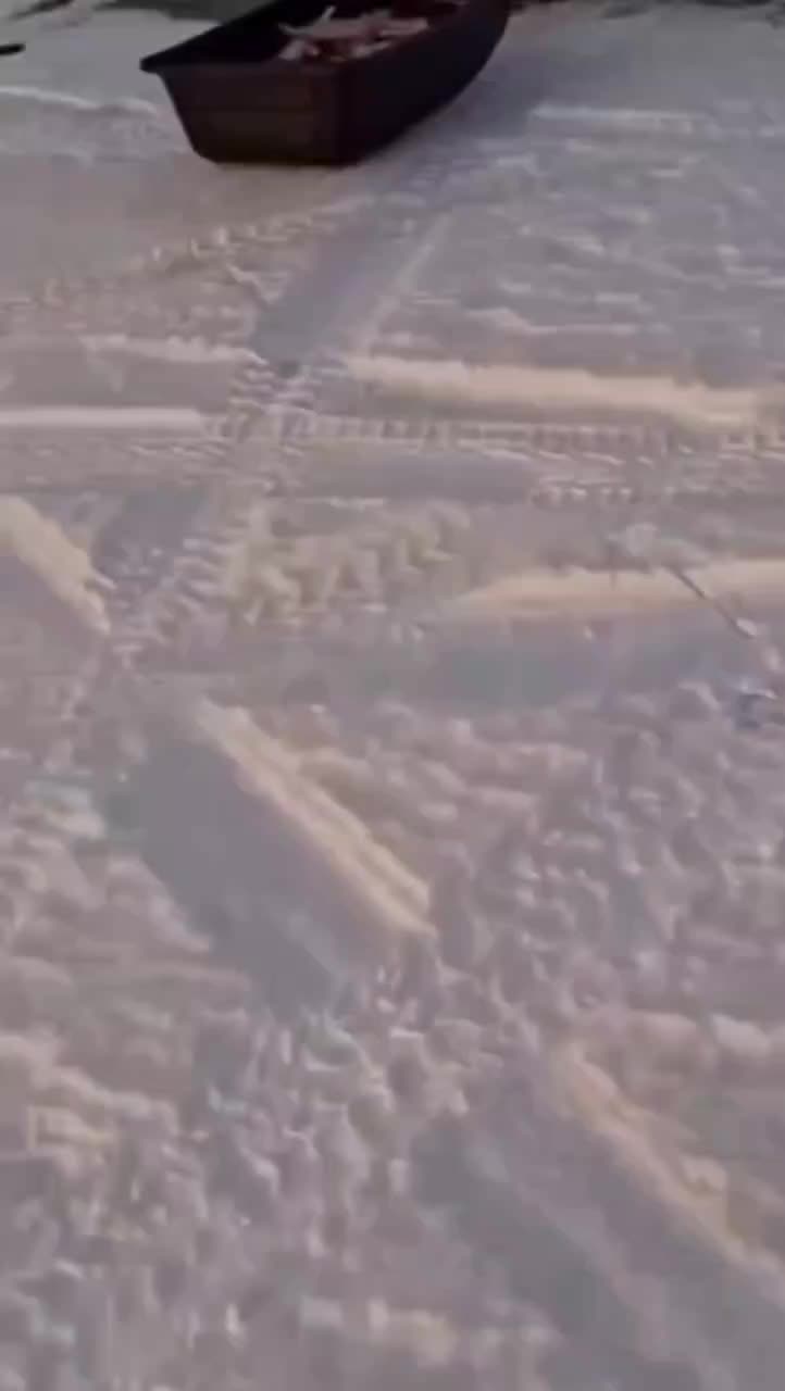 Степная лиса попыталась украсть улов у рыбаков в Астане